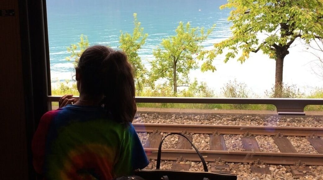 #troverdetour
The Golden Panoramic Line that runs between Montreux and Interlaken stops at Darligen for a few minutes and we are wonder stuck as we stand there, rooted - the sea green waters of the Aare Lake, the green Swiss Alps in the background and cute Plum trees lining the beach! if there is a heaven on earth, it is here, it is here, it is here!!!