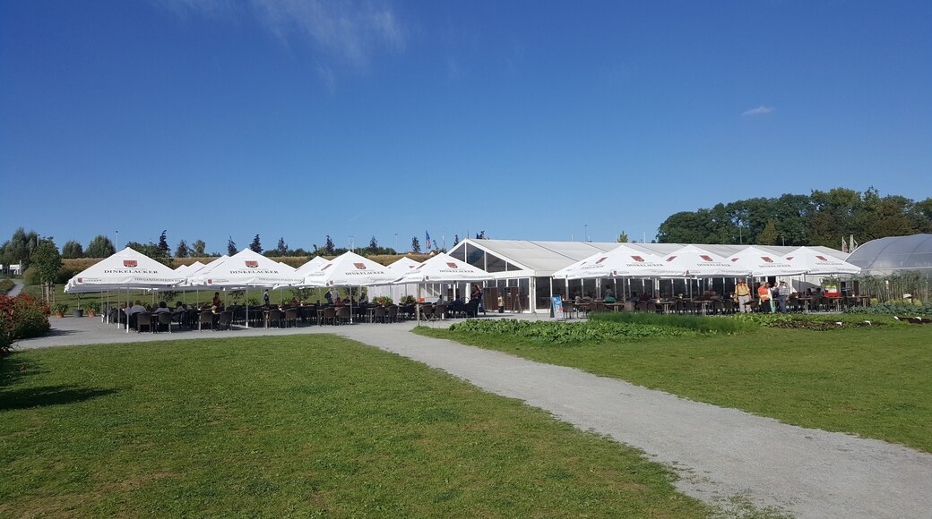 Landesgartenschau Öhringen 2016 - Cappelaue