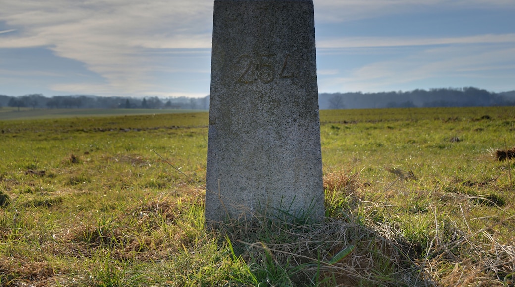 This file was uploaded with Commonist. This photograph was taken with a Nikon D300. Détail d'une des bornes frontière franco-suisse (HDR). Borne n° 254 côté numéro de borne.