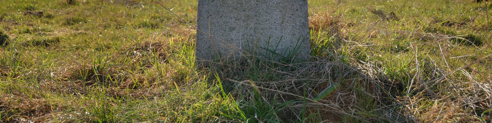 This file was uploaded with Commonist. This photograph was taken with a Nikon D300. Détail d'une des bornes frontière franco-suisse (HDR). Borne n° 254 côté numéro de borne.