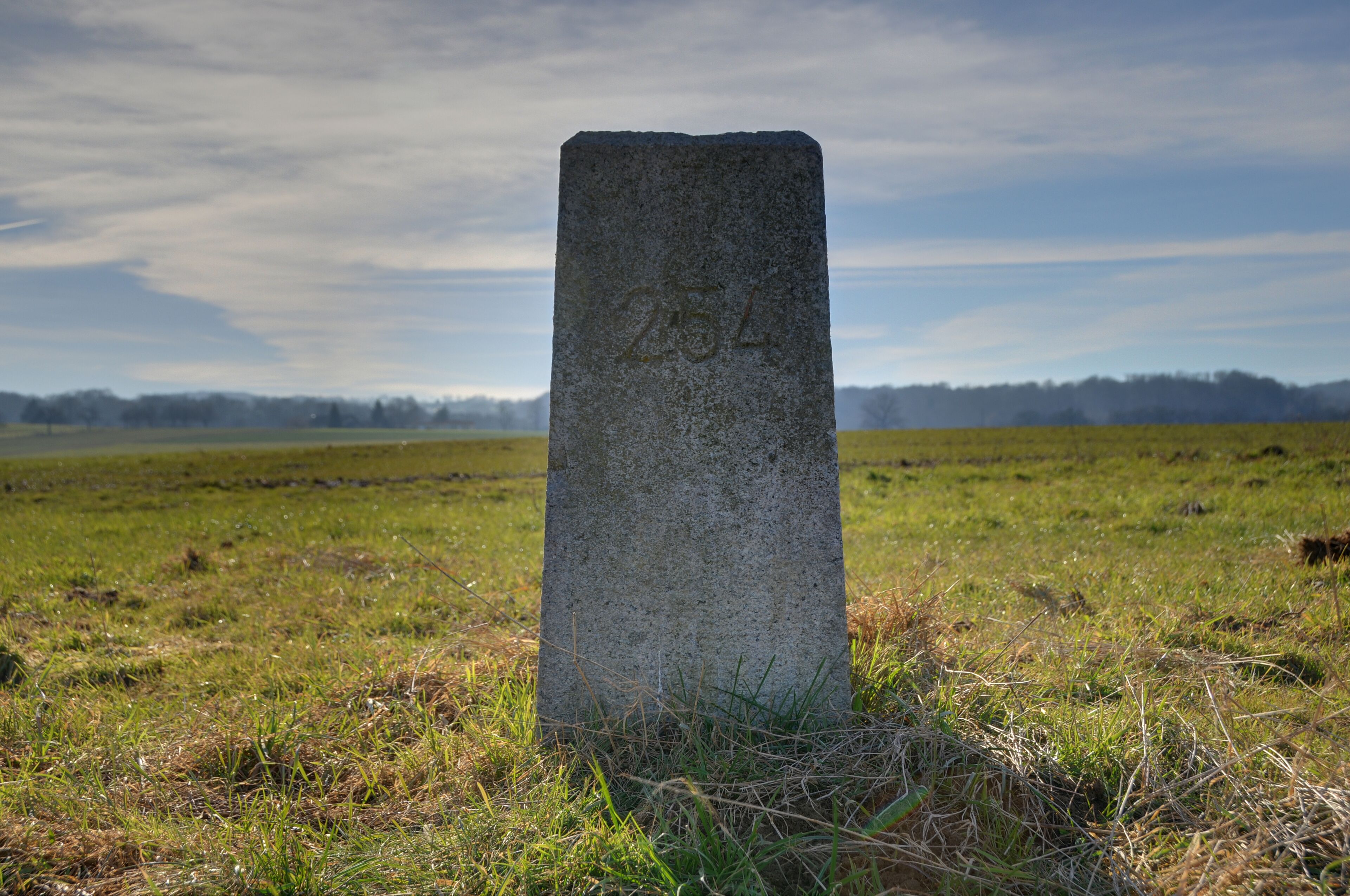 A tall stone monument with the inscription "2011" in a grassy field with a distant tree line under a cloudy sky.