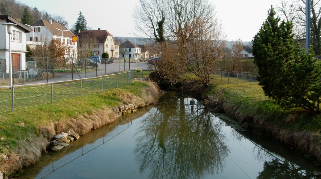 This file was uploaded with Commonist. Mare dans le parc Albert Burrus, à Boncourt (Suisse).