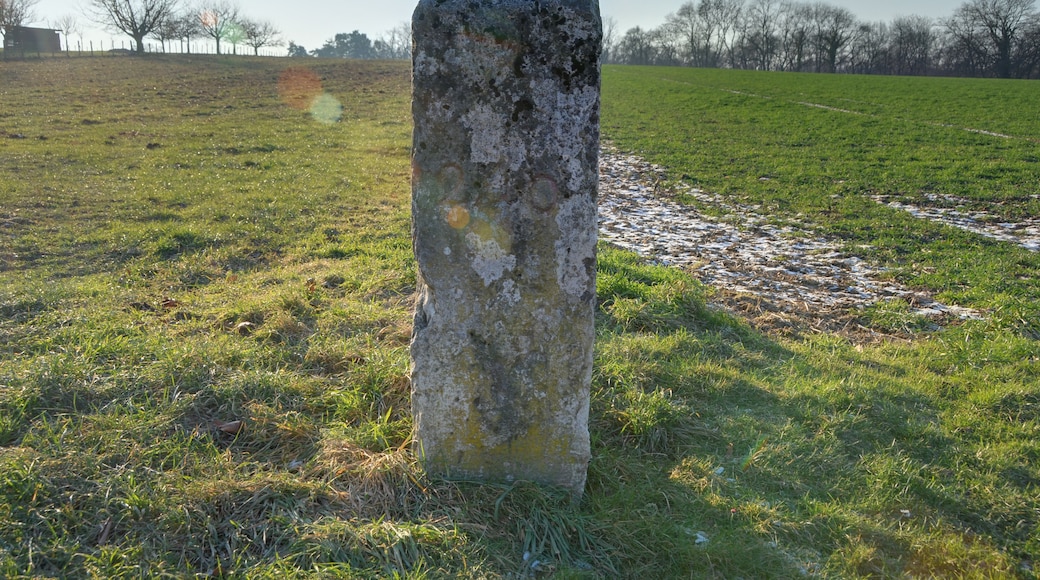 This file was uploaded with Commonist. This photograph was taken with a Nikon D300. Détail d'une des bornes frontière franco-suisse (HDR). La borne frontière n°240 sur un des côté, indiquant le numéro.