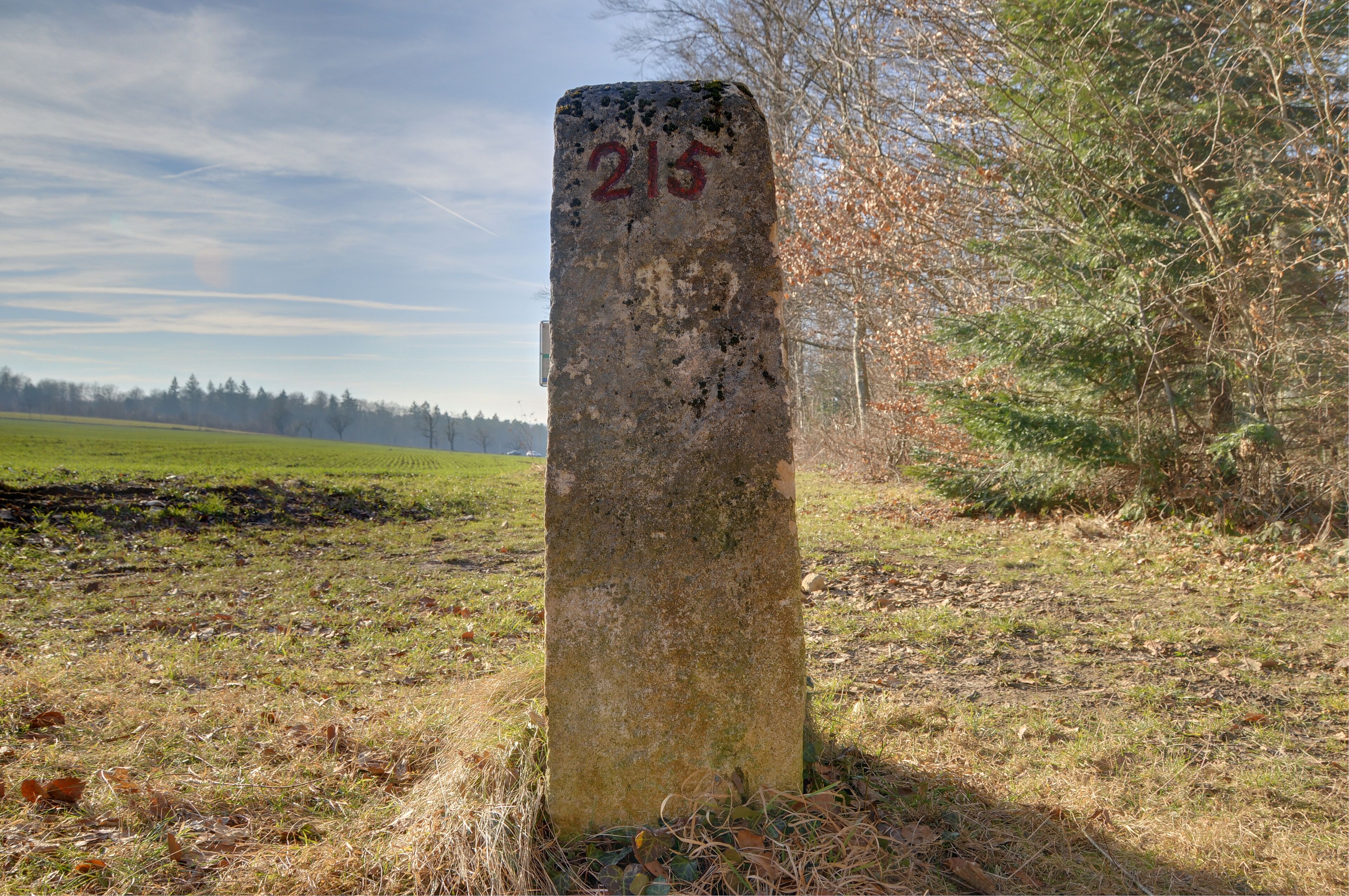 This file was uploaded with Commonist. This photograph was taken with a Nikon D300. Détail d'une des bornes frontière franco-suisse (HDR). Borne n° 215 côté numéro de borne.
