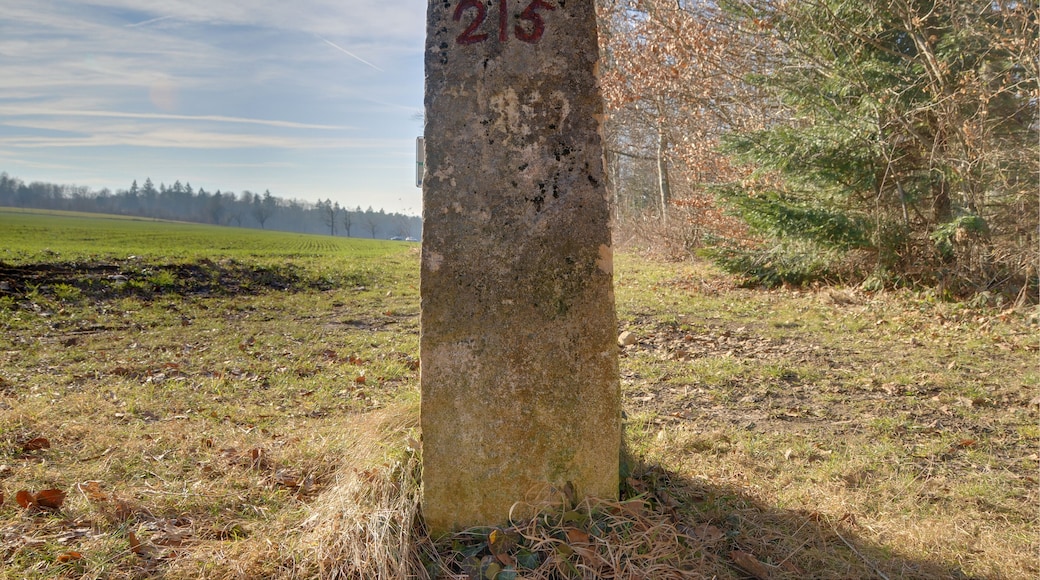 This file was uploaded with Commonist. This photograph was taken with a Nikon D300. Détail d'une des bornes frontière franco-suisse (HDR). Borne n° 215 côté numéro de borne.