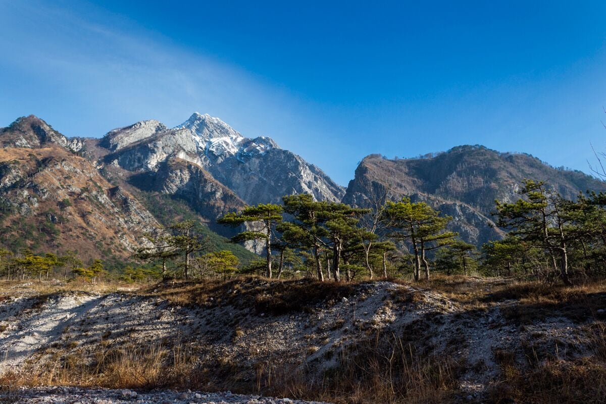 A mountainous landscape with a prominent snow-capped peak, a rocky foreground with sparse vegetation, and a clear blue sky.