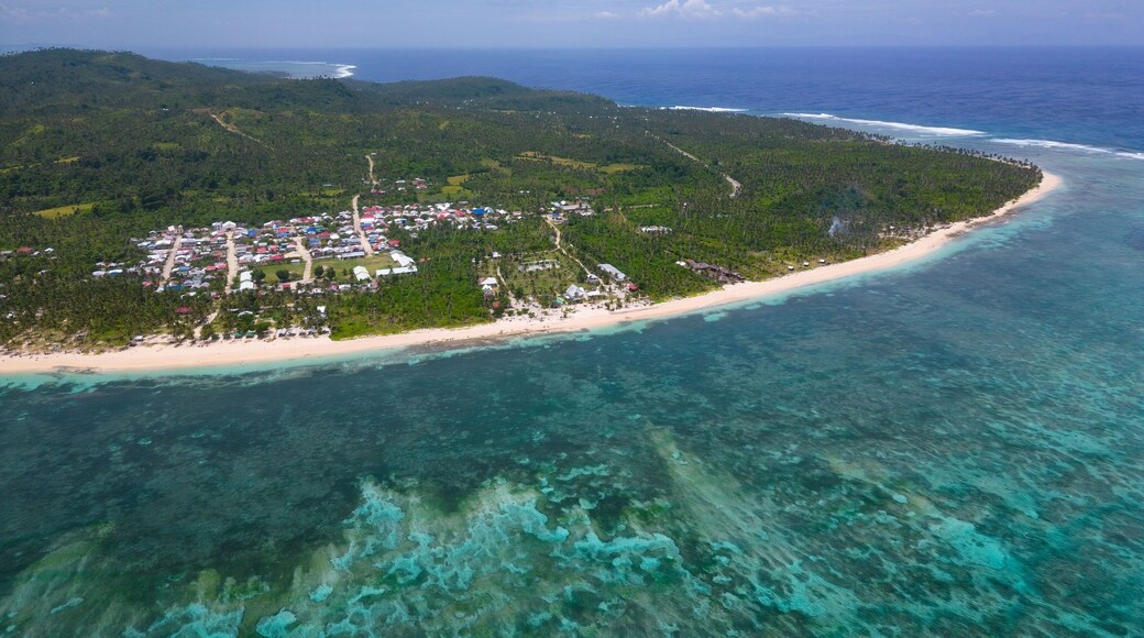 Aerial view of Alegria Beach, Siargao Island, Philippines