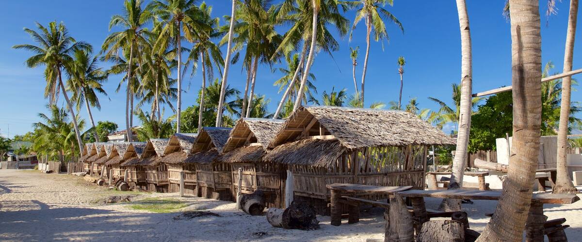 Thatched-roof huts, palm trees, and a sandy beach.