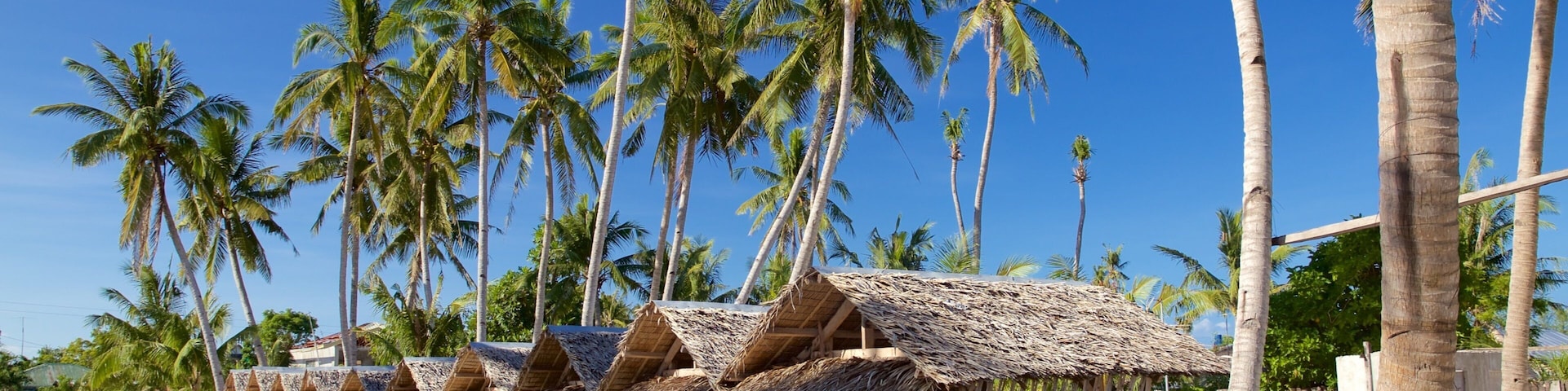 Thatched-roof huts, palm trees, and a sandy beach.