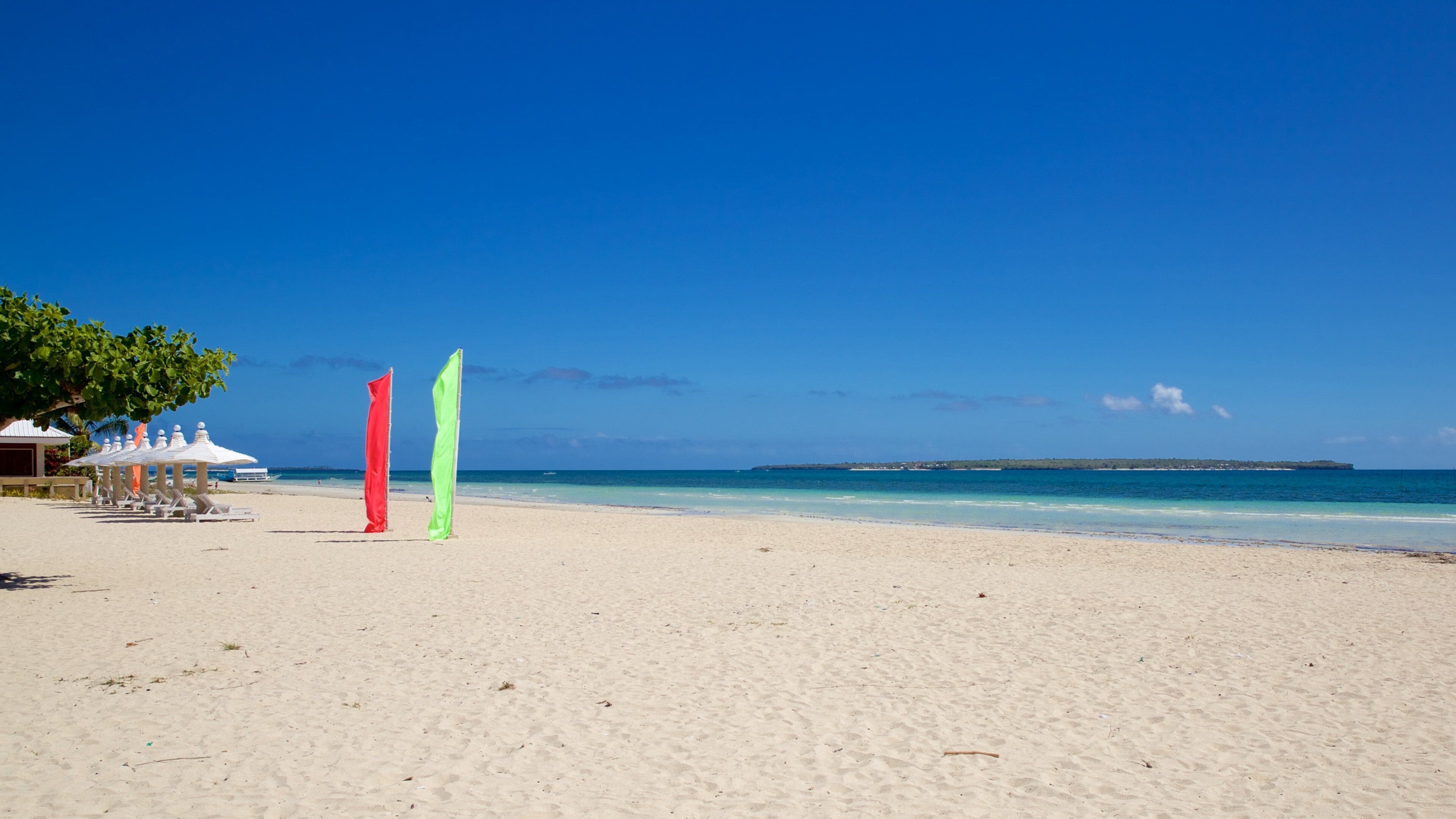 A beach with white umbrellas, a clear blue sky, and a calm sea.