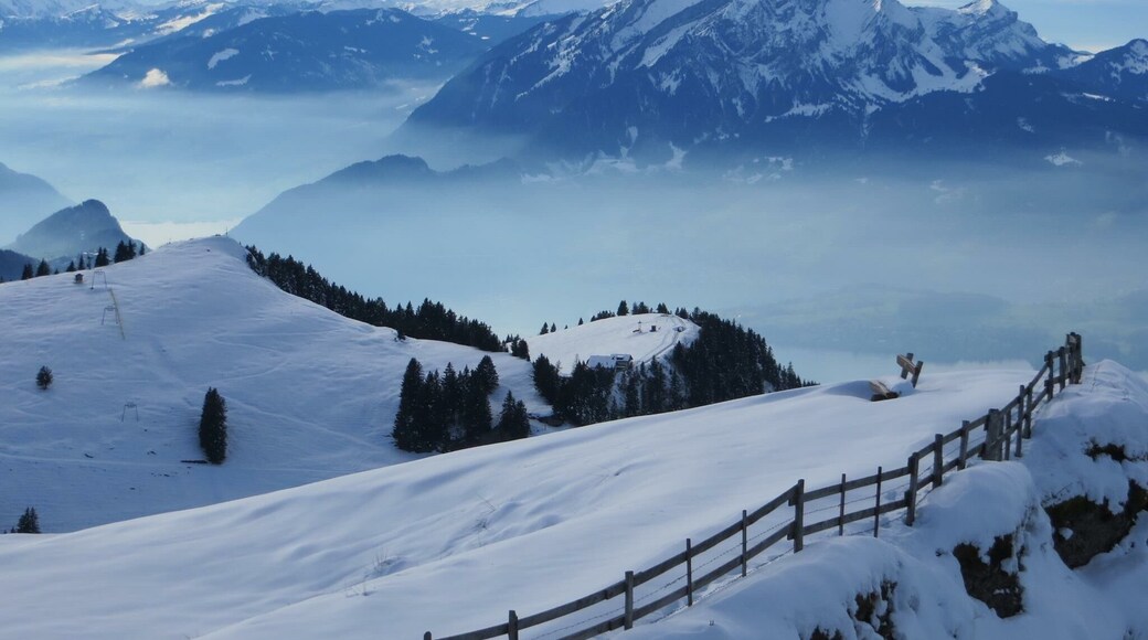 This is my favorite mountain above Lucerne ! All seasons its beautiful