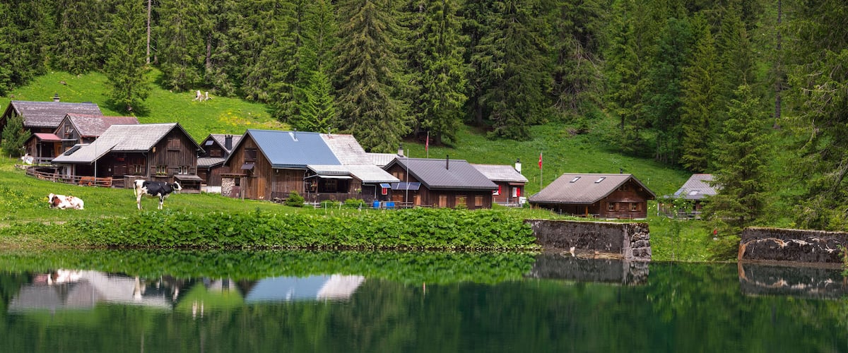 A lakeside village with wooden houses, cows grazing, and dense forest in the background.