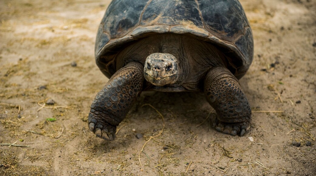 สวนสัตว์ Gladys Porter