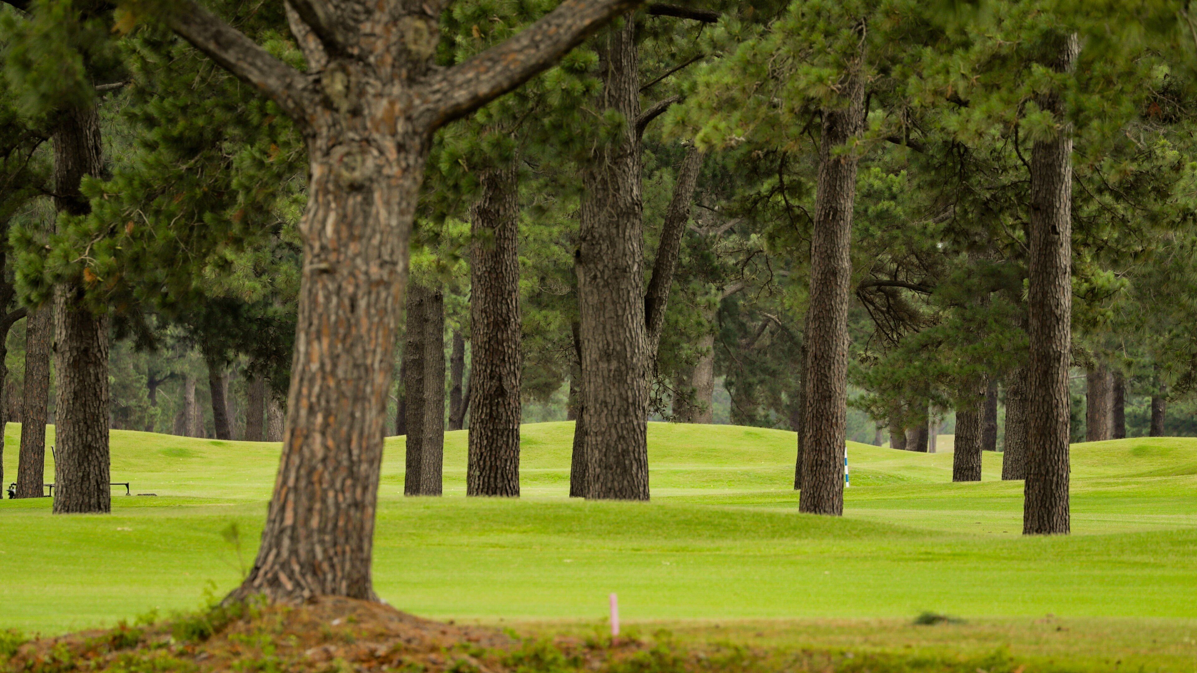 Myrtlewood Golf Club featuring golf