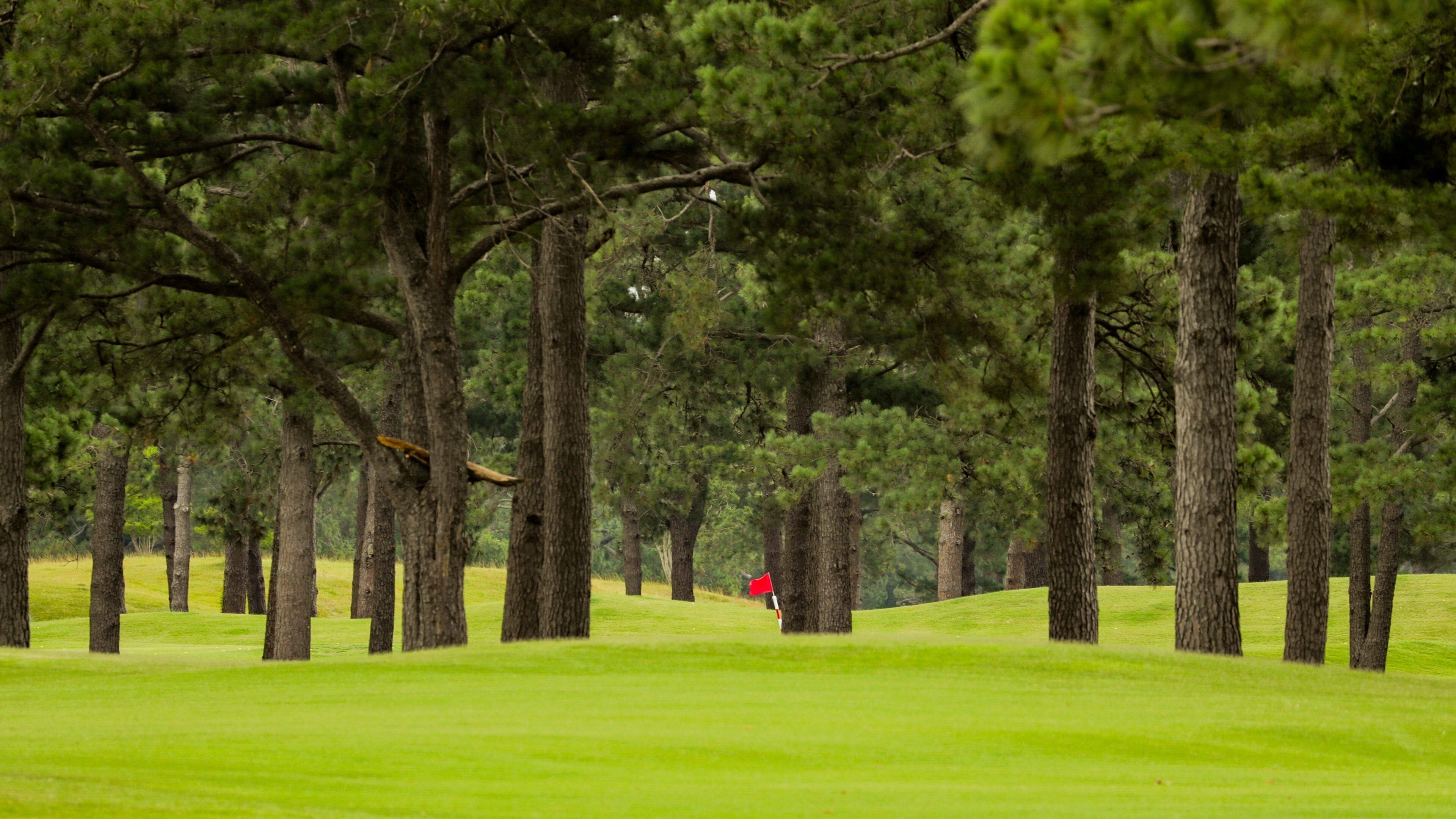 Myrtlewood Golf Club which includes golf