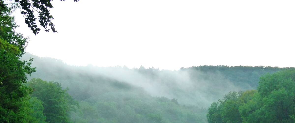 Autumn In Summertime