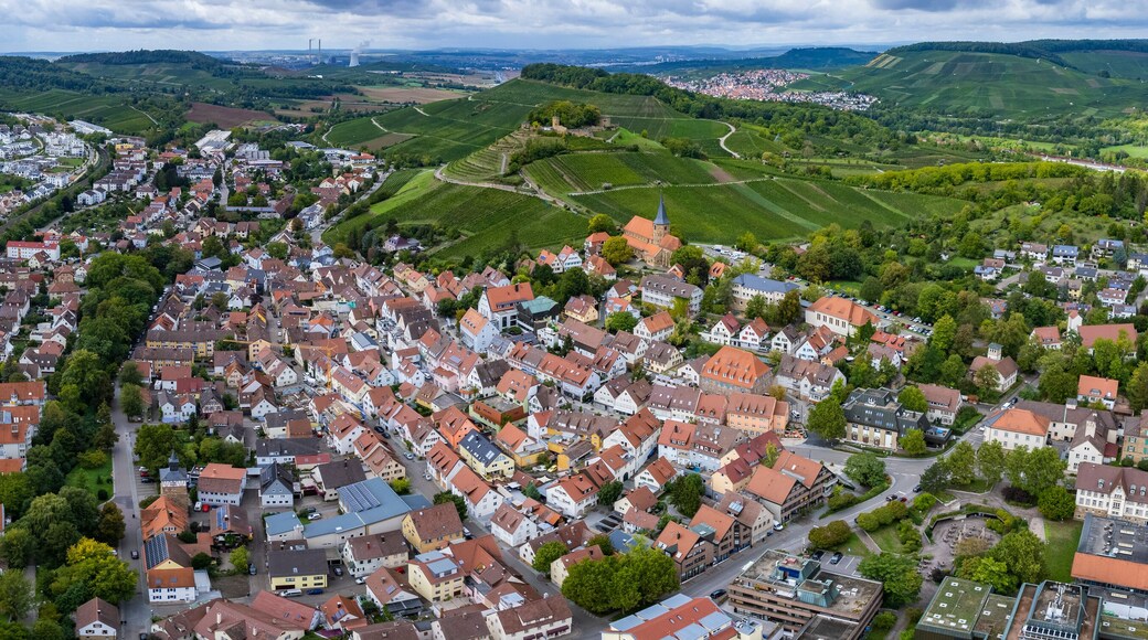 Vaihingen an der Enz