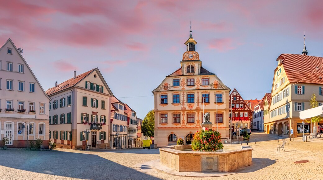 Vaihingen an der Enz