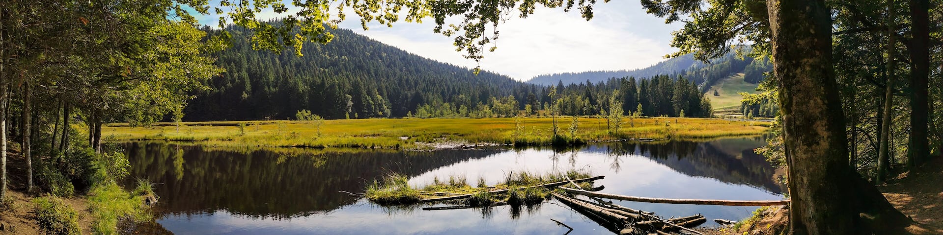 Explorez la beauté naturelle du lac de montagne de Lispach, La Bresse, Vosges, CeA, grand Est, France