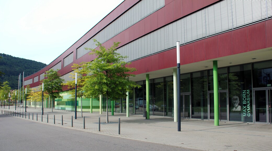 Frontansicht des Schulzentrums Neckargemünd Haupteingang des Max-Born-Gymnasiums