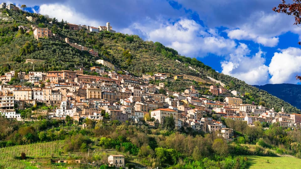 A hillside town with buildings, a castle, and mountains in the background.