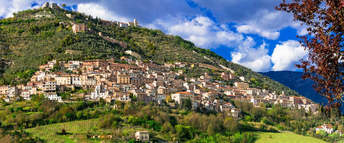 A hillside town with buildings, a castle, and mountains in the background.