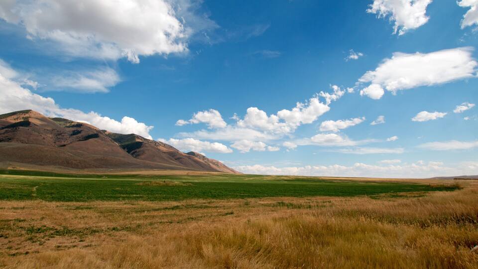A vast open field with a mountain range in the background under a clear blue sky.