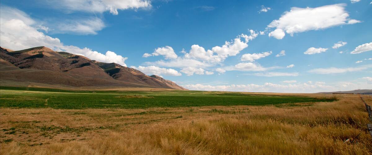 A vast open field with a mountain range in the background under a clear blue sky.