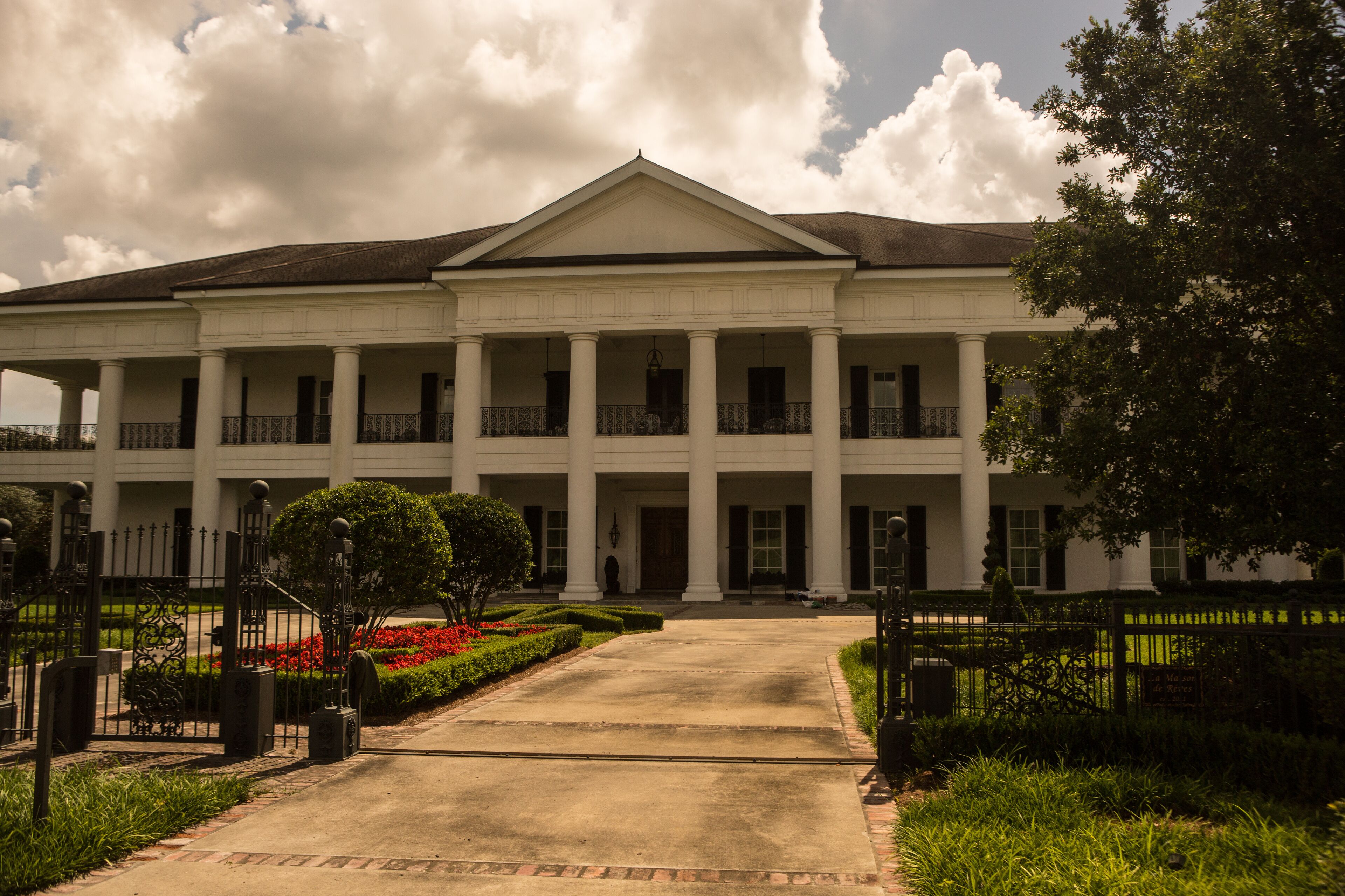 Plantation Swamp Life in Destrehan, Louisiana