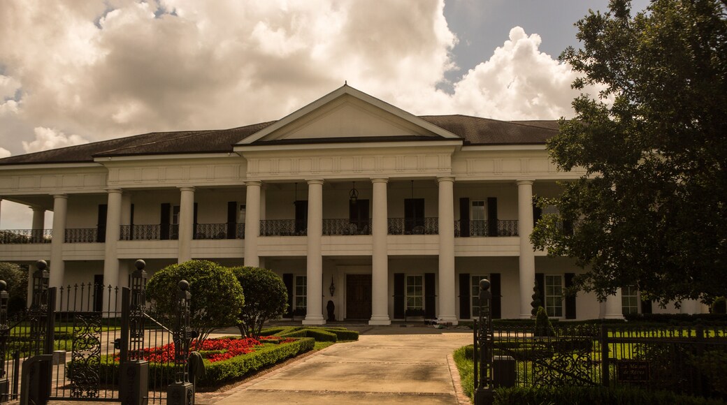 Plantation Swamp Life in Destrehan, Louisiana
