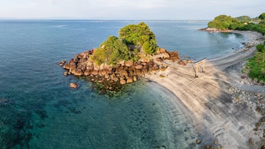Kanoya, Japan. - 11. November 2024: Sugahara Shrine in Japan