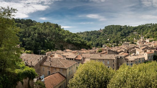 ๋ผ์ข
ํฐ์