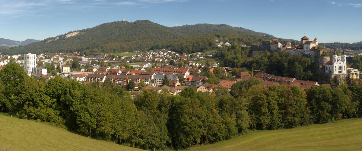 A town with a castle on a hill, surrounded by trees and buildings.
