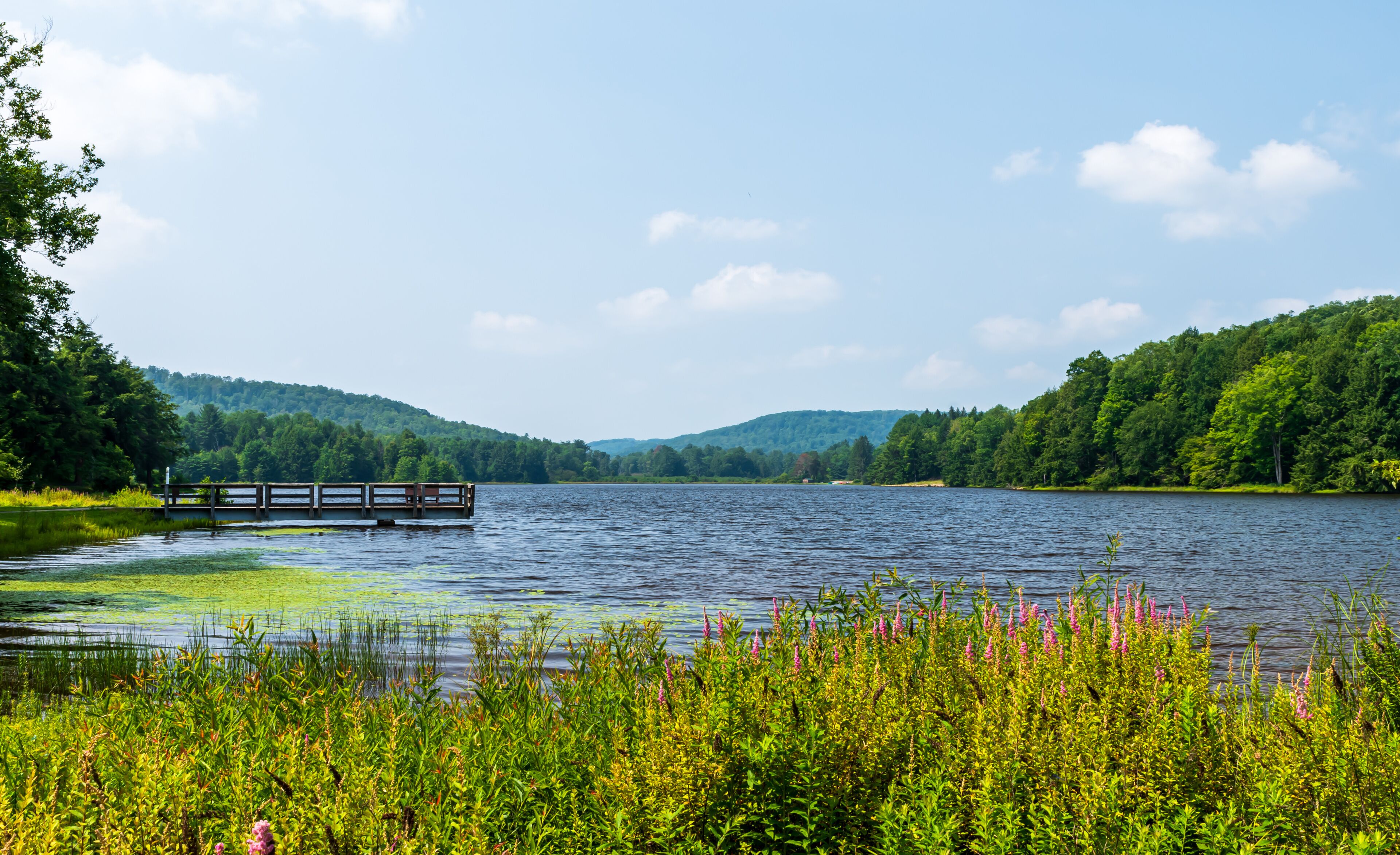 A walking pier jutting into the lake at Chapman State Park on a sunny summer day