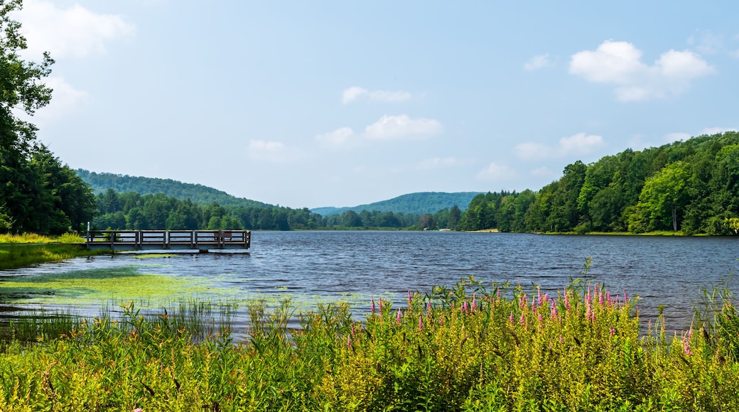 A walking pier jutting into the lake at Chapman State Park on a sunny summer day