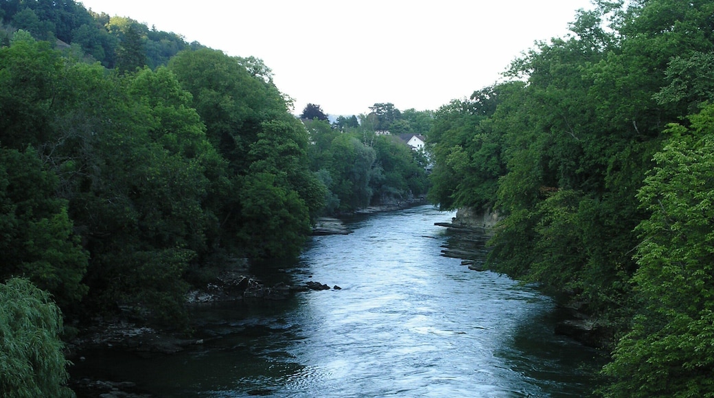 Aare bei Brugg