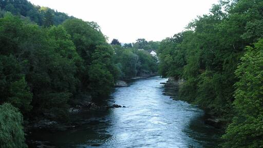 Aare bei Brugg
