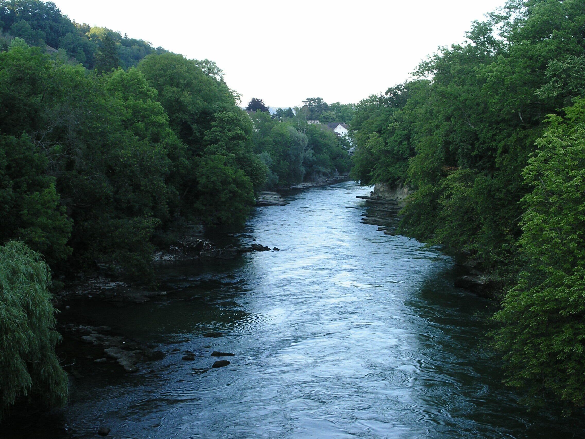 A river flowing through a densely wooded area with trees on both sides.