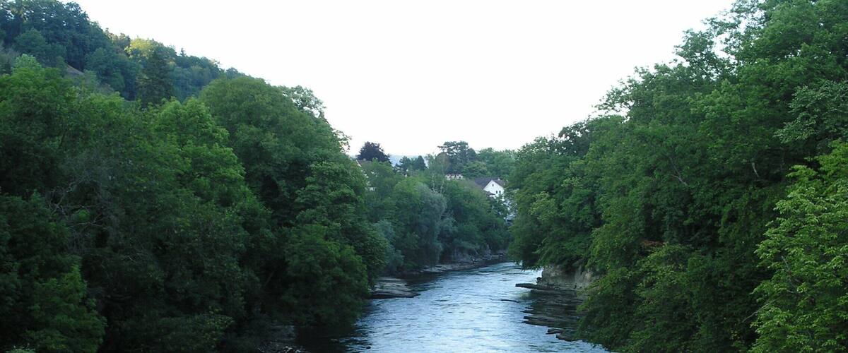 A river flowing through a densely wooded area with trees on both sides.