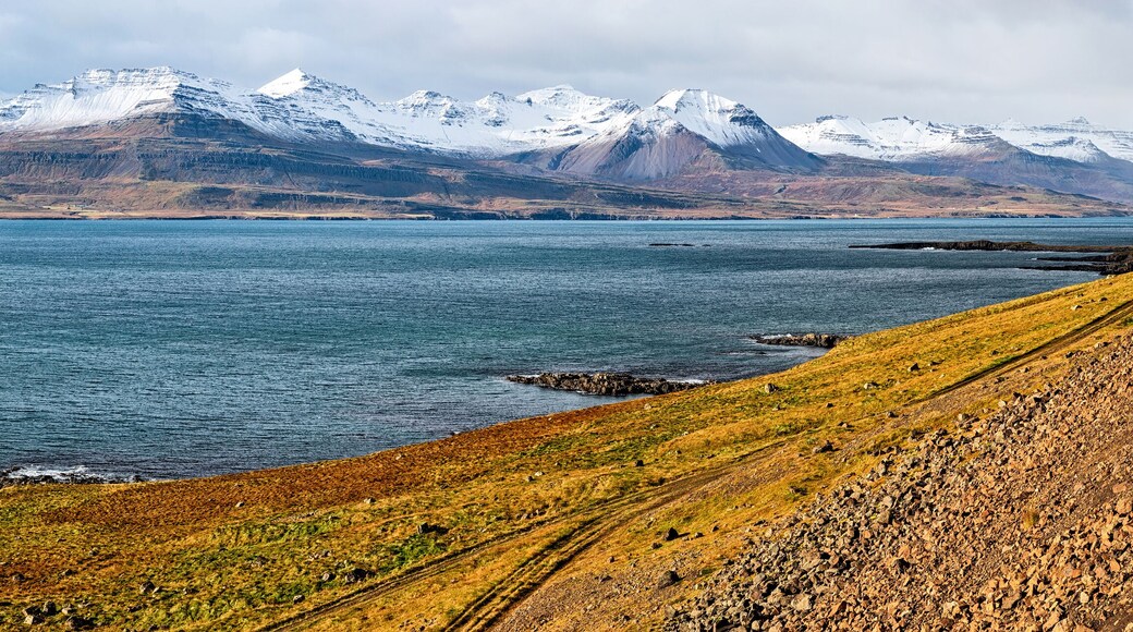 Fáskrúðsfjörður