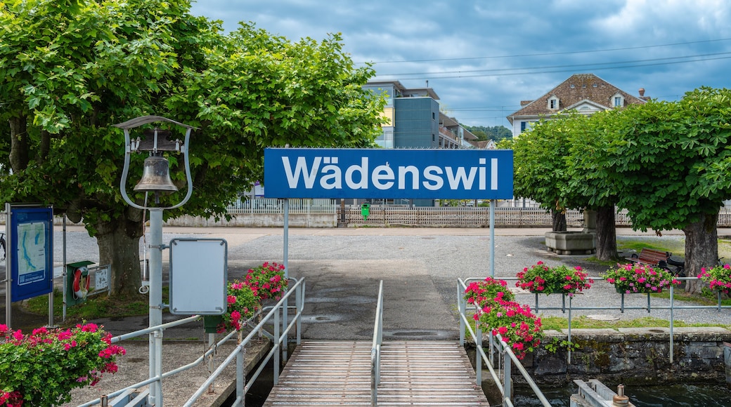 Wadenswil
