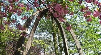 Whale Jawbone Arch, Meadows. At the intersection of Jawbone Walk and Melville Drive. Given to the city by the Zetland and Fair Isle Knitting stand in the 1886 International Exhibition.