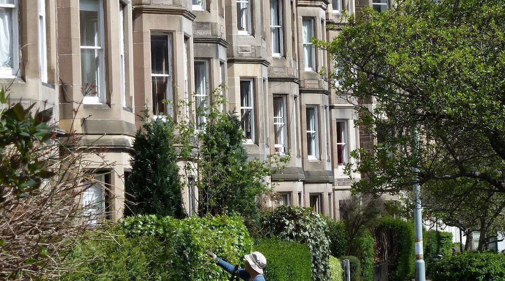 Vasárnapi meló (Sunday chore)