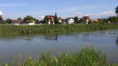 Alter Rhein bei Rheineck