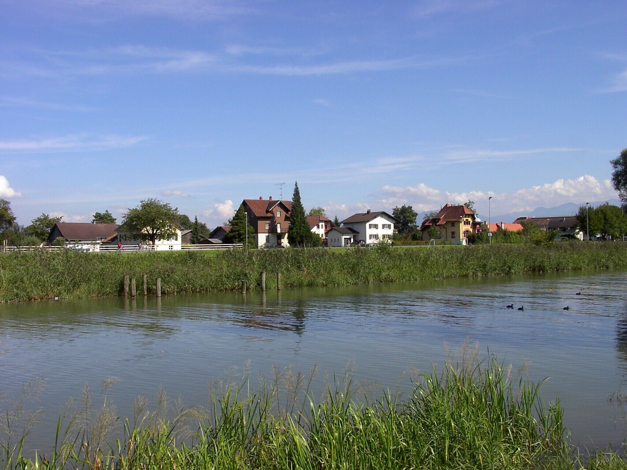 A calm lake with houses along the shore and reeds in the foreground.