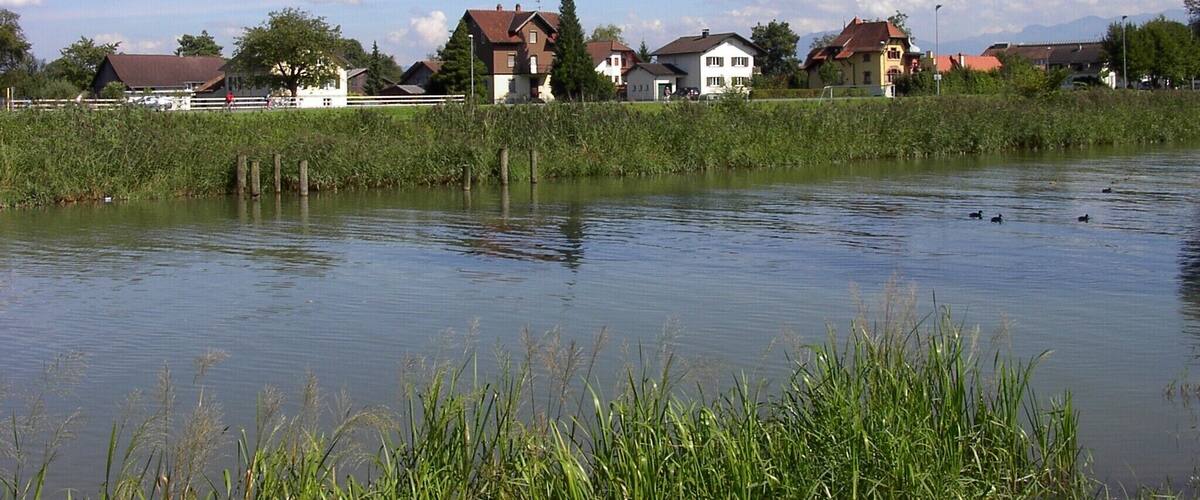 A calm lake with houses along the shore and reeds in the foreground.