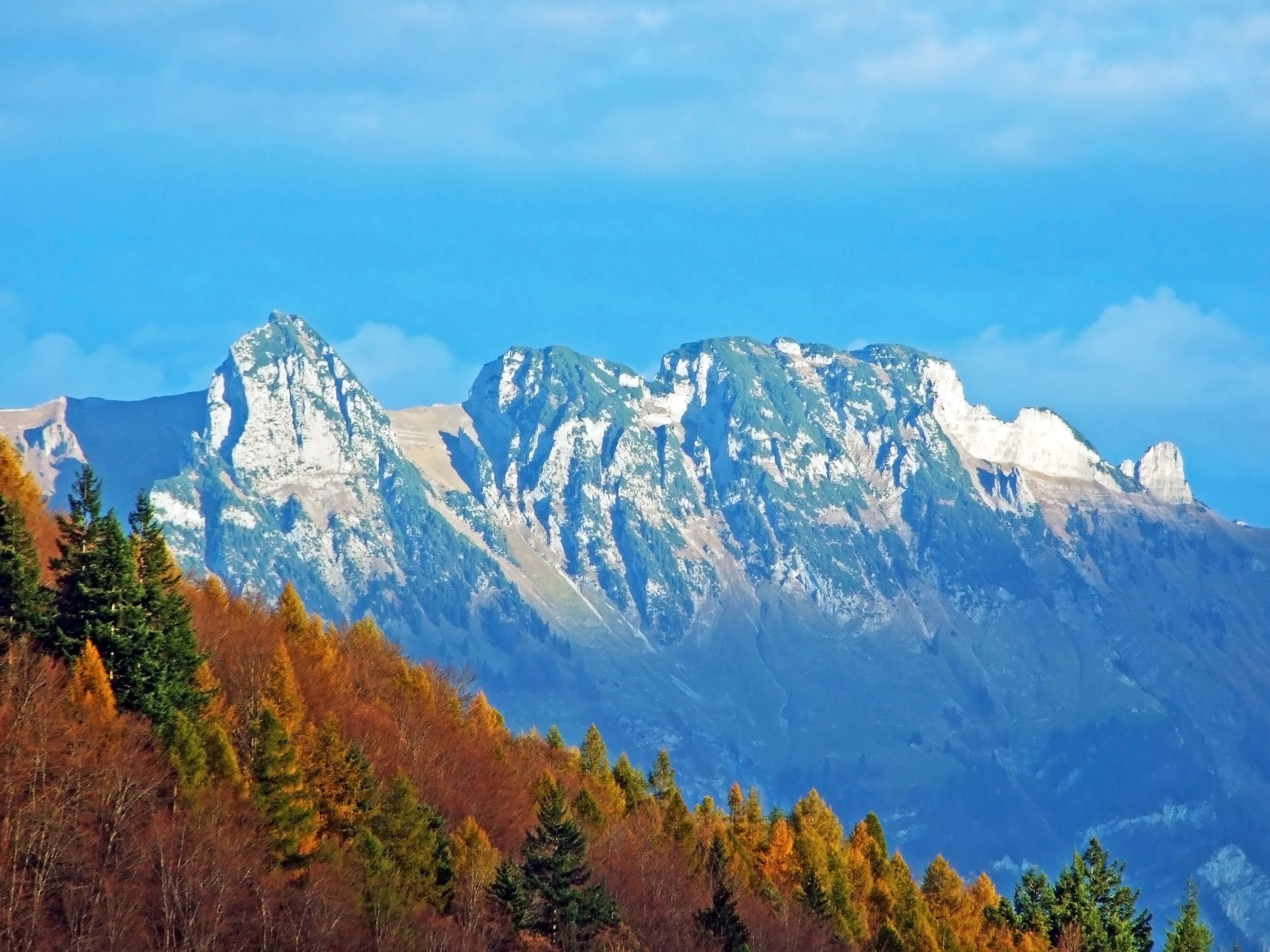 Catena montuosa con cime innevate e alberi dai colori autunnali in primo piano.