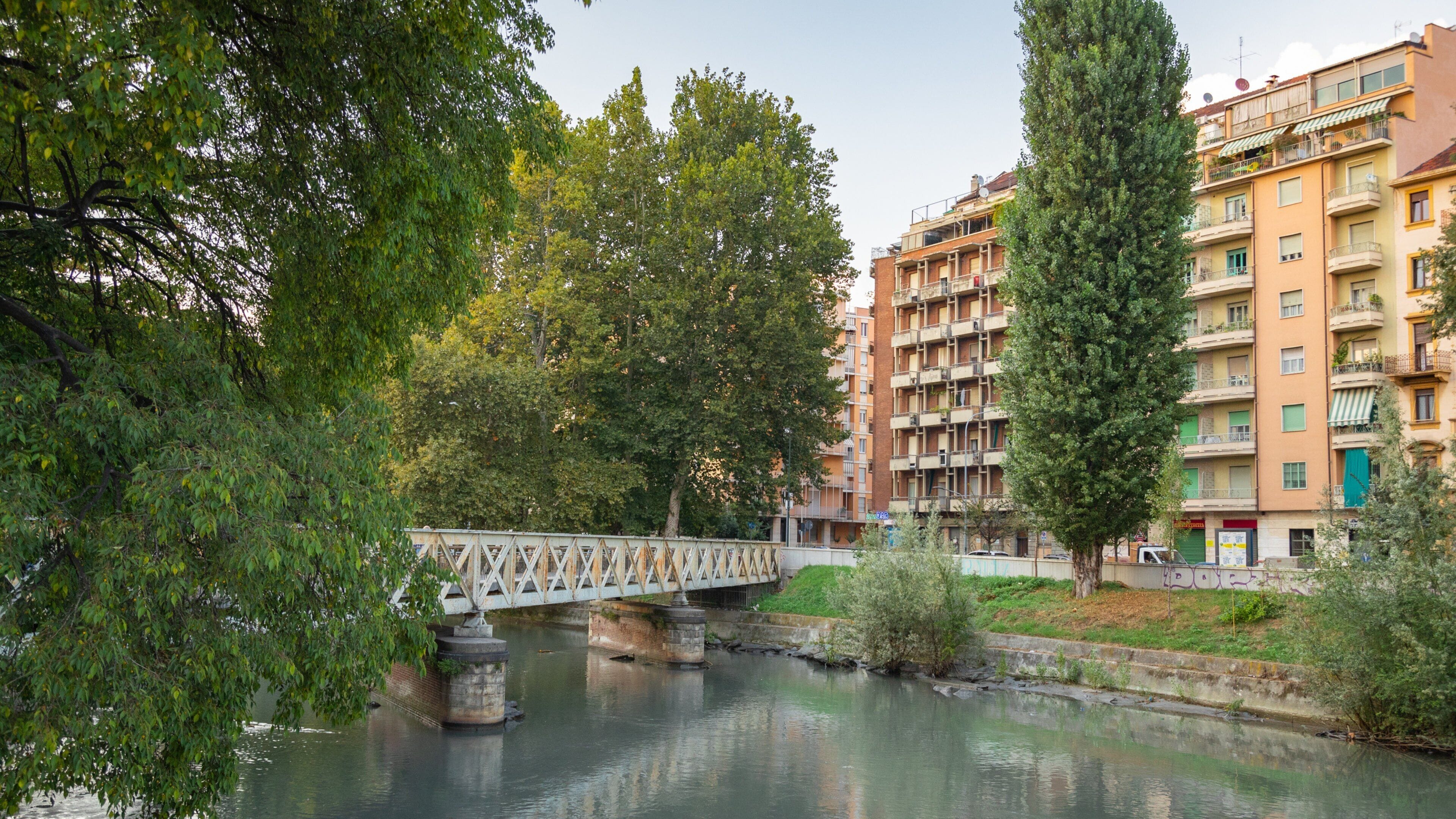 A river with a bridge, trees, and residential buildings.