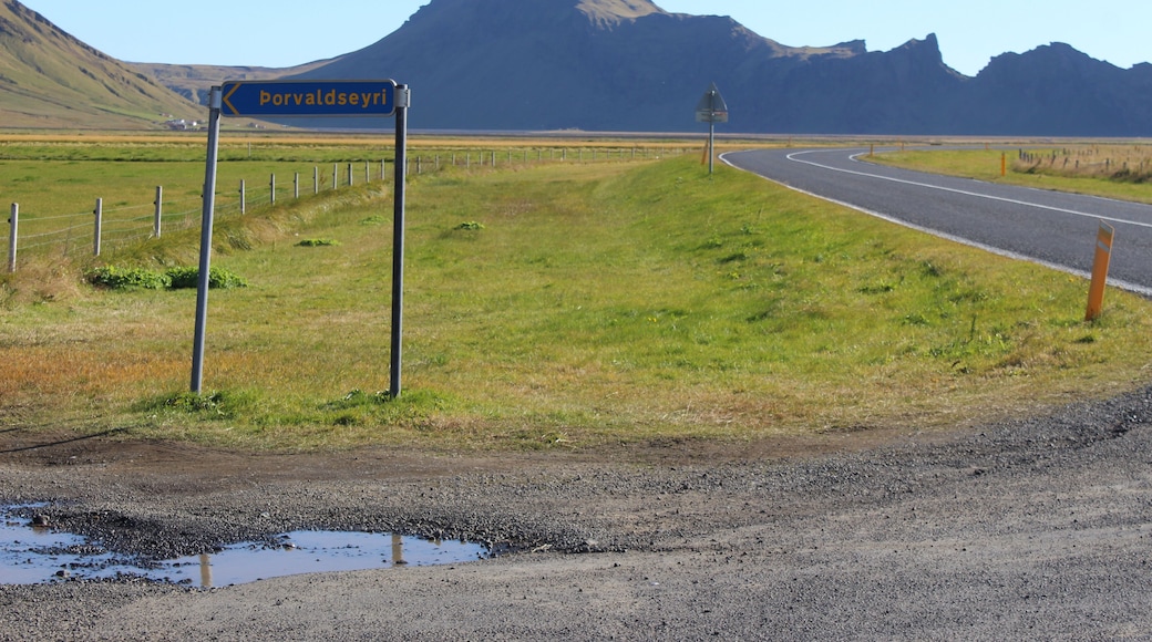 The road near Porvaldseyri, Iceland.