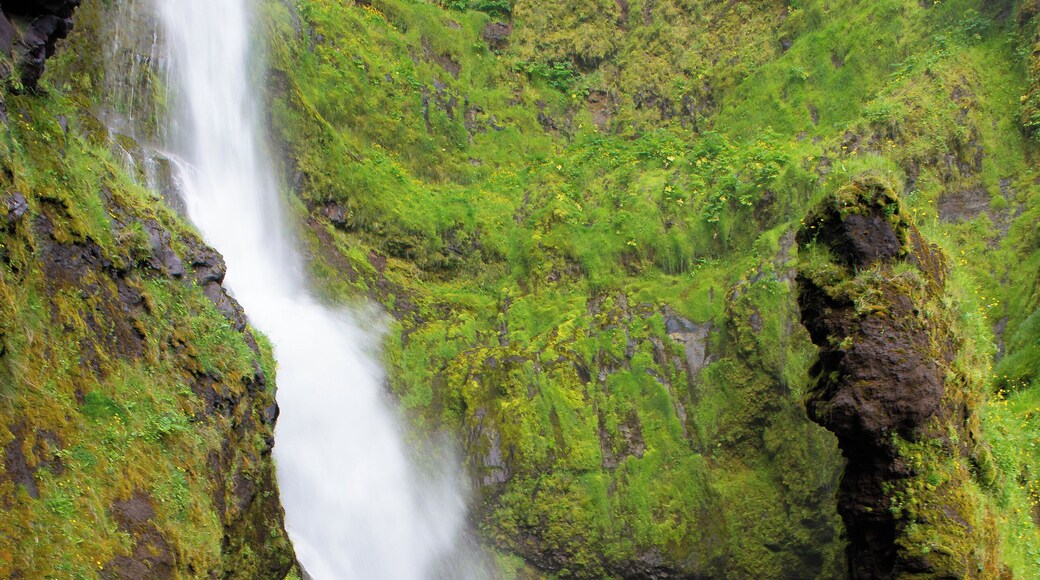 There's something prehistoric about many of the places in Iceland.